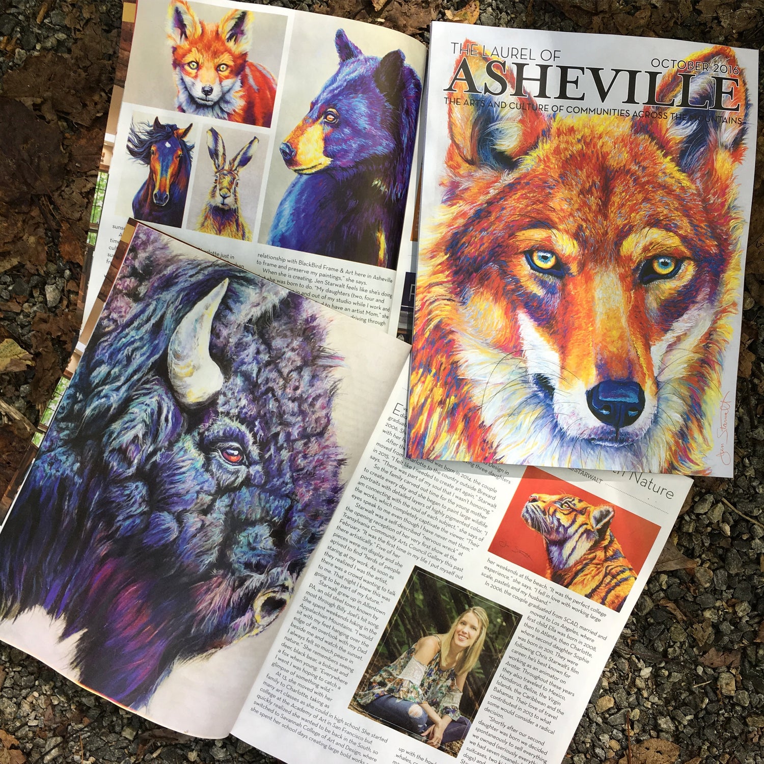 Cover Artist On The Laurel of Asheville