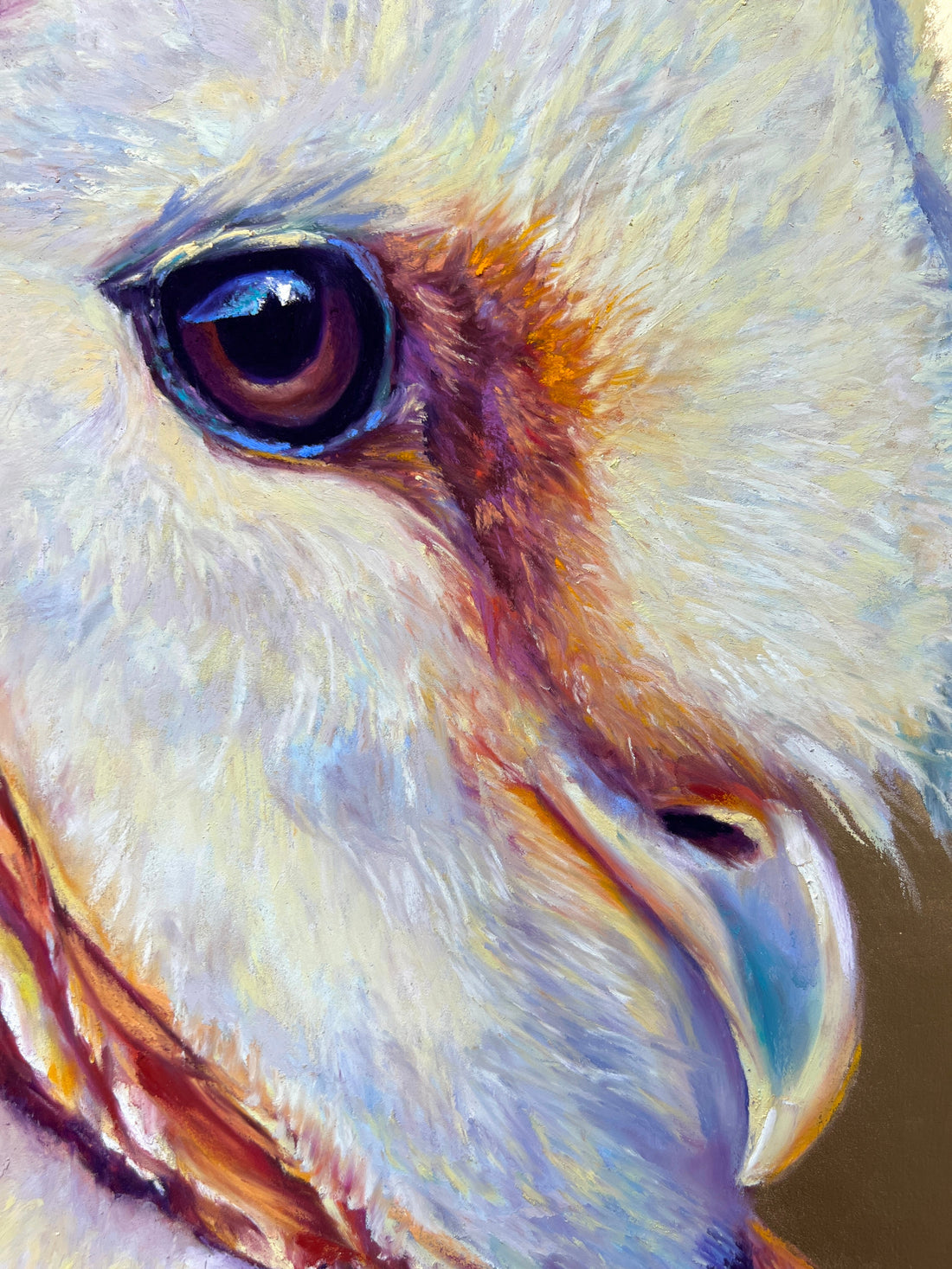 Jen Starwalt Contemporary Wildlife Art Contemporary Wildlife Art Serenity of the Dawn
