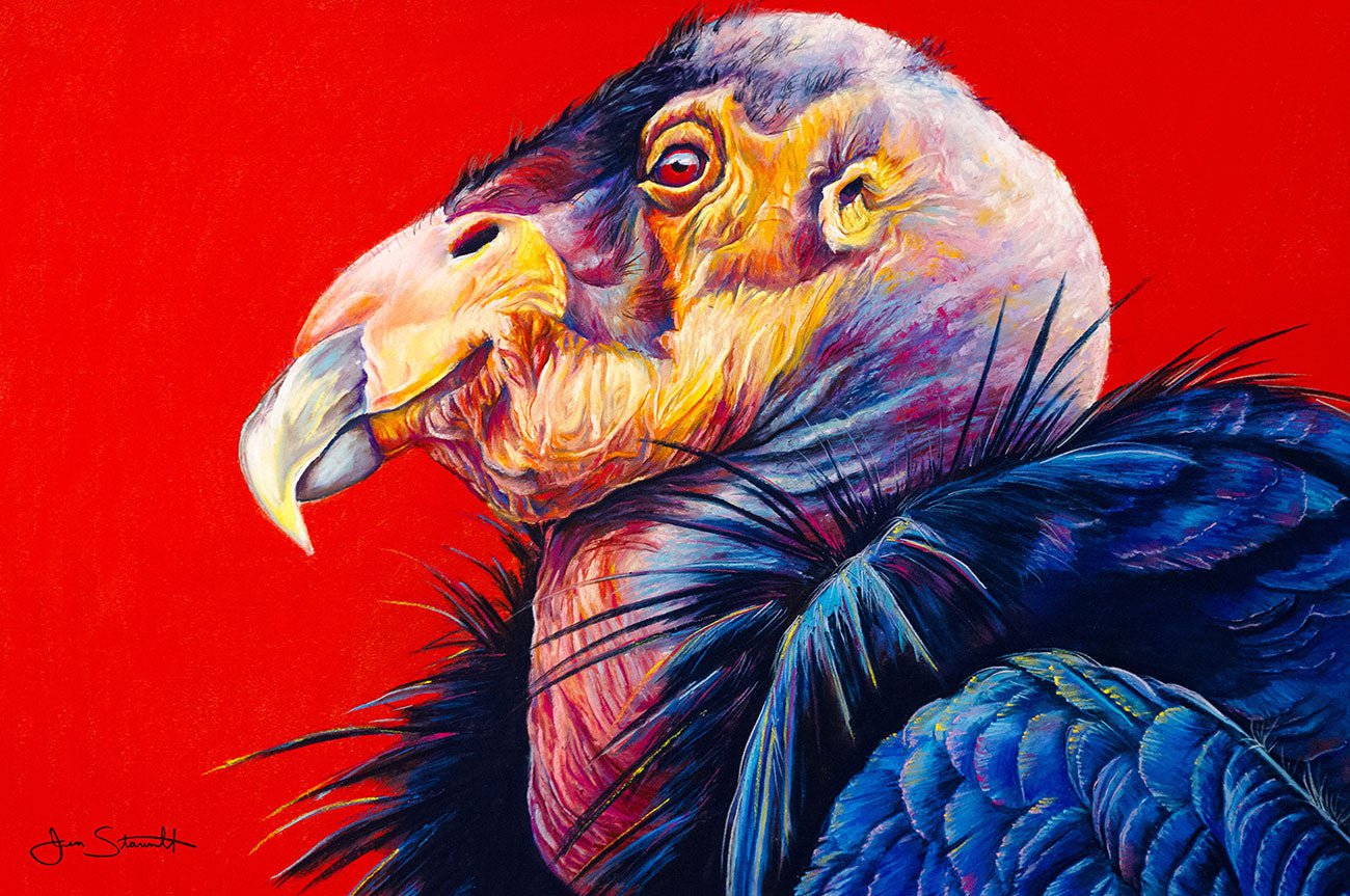 Jen Starwalt Contemporary Wildlife Art Original Art California Condor