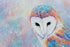 Jen Starwalt Contemporary Wildlife Art Original Art Cradled in the Dawn of Tomorrow
