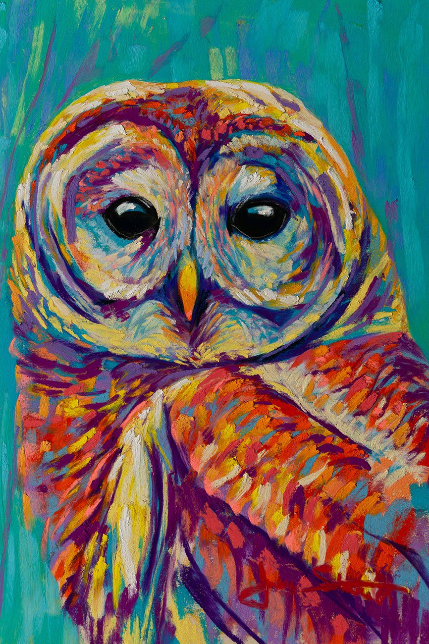 Jen Starwalt Contemporary Wildlife Art Original Art Petite Barred Owl No. 1