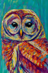 Jen Starwalt Contemporary Wildlife Art Original Art Petite Barred Owl No. 1