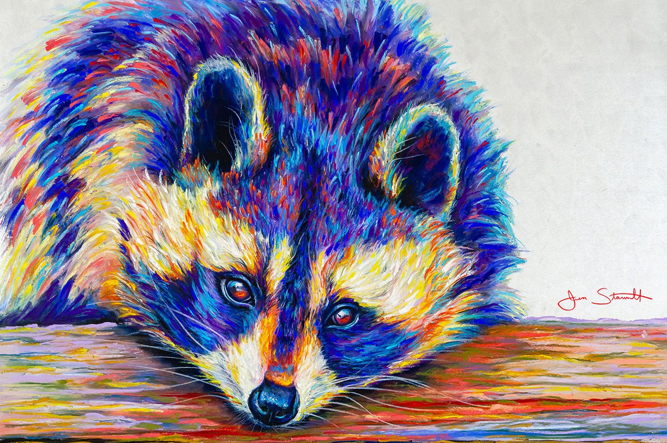 Jen Starwalt Contemporary Wildlife Art Original Art Raccoon