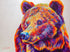 Jen Starwalt Contemporary Wildlife Art Original Art Sun Gazer